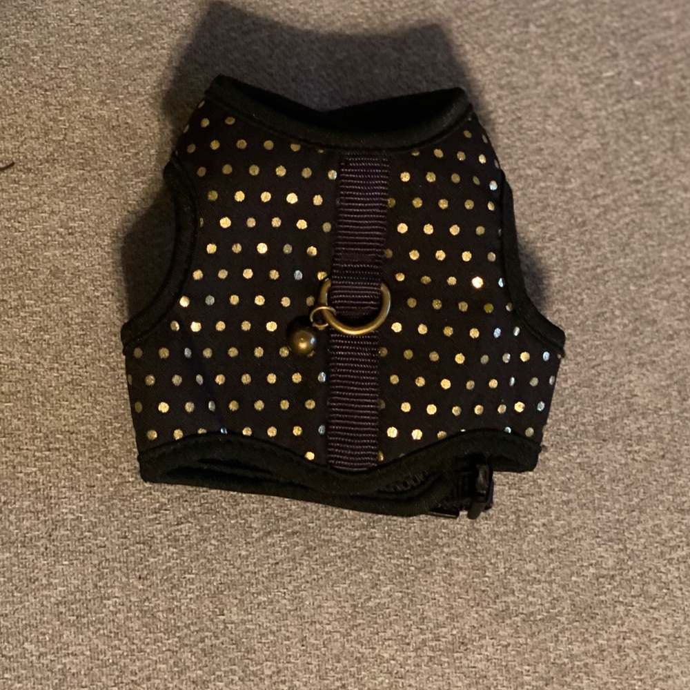 Adorable size small kitten harness